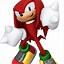 Image result for Knuckles the Echidna Sonic Channel