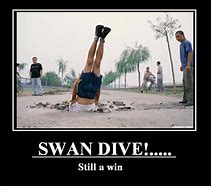Image result for Swan Dive Meme