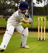 Image result for Cricket Stumps