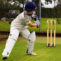 Image result for Backyard Cricket Stumps
