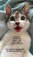 Image result for Lolcats Funny