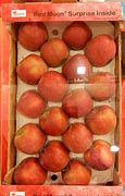 Image result for Red Flesh Apple