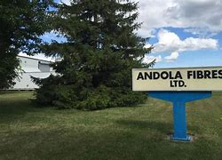 Image result for andola