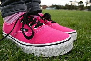 Image result for Vans Shoes New Brand