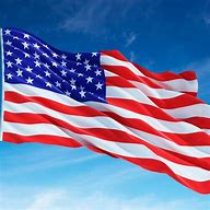 Image result for USA Flag Colours