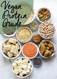 Image result for Raw Vegan Protein