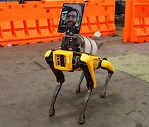 Image result for Human Type Robots