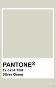 Image result for Pantone Silver