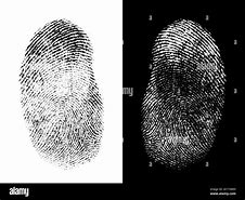 Image result for Real Fingerprint