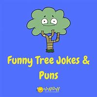 Image result for Tree Humor
