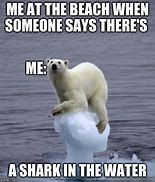 Image result for Penguin and Polar Bear Meme