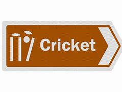 Image result for Cricket Name Sign