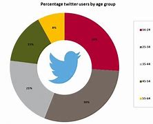 Image result for Twitter Age of Users