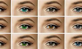 Image result for Solid Color Contact Lenses