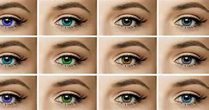 Image result for Multifocal Colored Contact Lenses