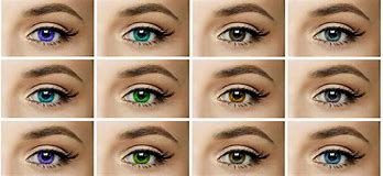 Image result for Christie Noem Colored Contact Lenses