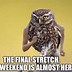 Image result for Long Weekend Coming Up Meme
