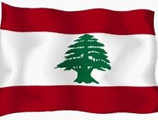 Image result for Lebanon National Flower