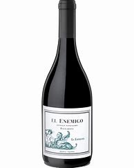 Image result for El Enemigo Winery Estate