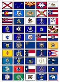 Image result for SF State Flag