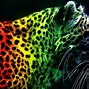 Image result for Rainbow iPhone 6 Backgrounds