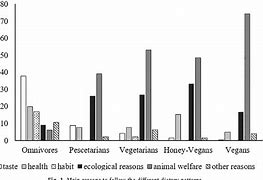 Image result for What is the Difference Between Vegan and Vegetarian
