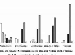 Image result for Difference Between Vegan and Vegetarian