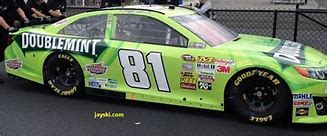 Image result for NASCAR Number 81