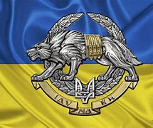 Image result for Ukraine Special Forces SOF
