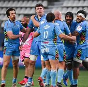 Image result for co_to_znaczy_zebre_rugby