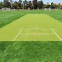 Image result for Cricket Field in Elbert Colorado