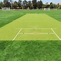 Image result for Cricket Field Equipment