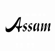 Image result for AEI Assam Logo