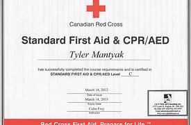 Image result for Blank Printable CPR Card Template