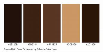 Image result for Brown Hair Hex Code