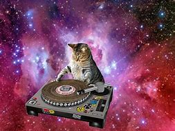 Image result for Universe Cat SVG