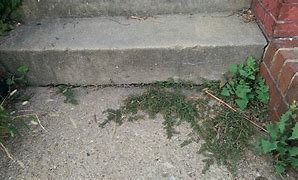 Image result for Fill in Concrete Cracks