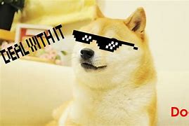 Image result for Doge Dog Meme Face
