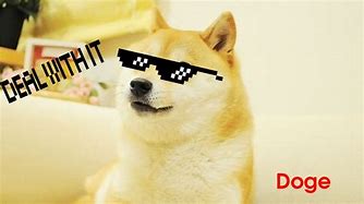 Image result for Brown Doge Meme