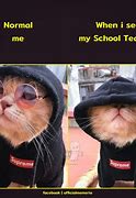 Image result for Clean Cat Memes School