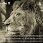 Image result for Animal Awareness Quotes