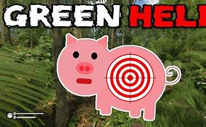 Image result for Green Hell Gun