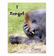 Image result for Sorry Forgot to CC You