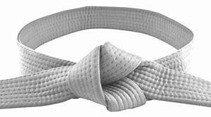 Image result for White Belt Karate