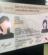 Image result for Ine De Mexico