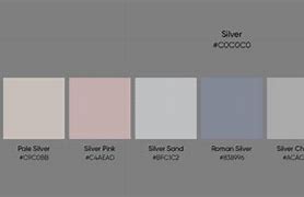 Image result for Silver Color Scheme