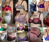 Image result for Photo of Different Bra Sizes Comparison