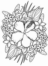 Image result for Flores Para Colorir E Imprimir