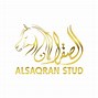 Image result for Arabian Horse Stud