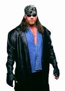 Image result for WWE Undertaker Dead